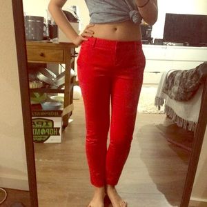 Express red pants